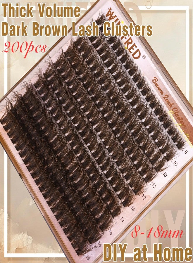 Winifred Brown Lash Clusters Dark Brown Individual Lashes Wispy Thick Volume Lash Extension D Curvature Clusters Eyelashes 80D Clusters Lashes by Winifred (8-18mm) - Image 5